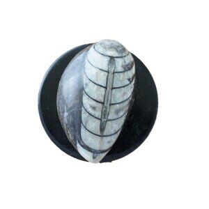 Fossilized Trilobite Brooch With Angel Design